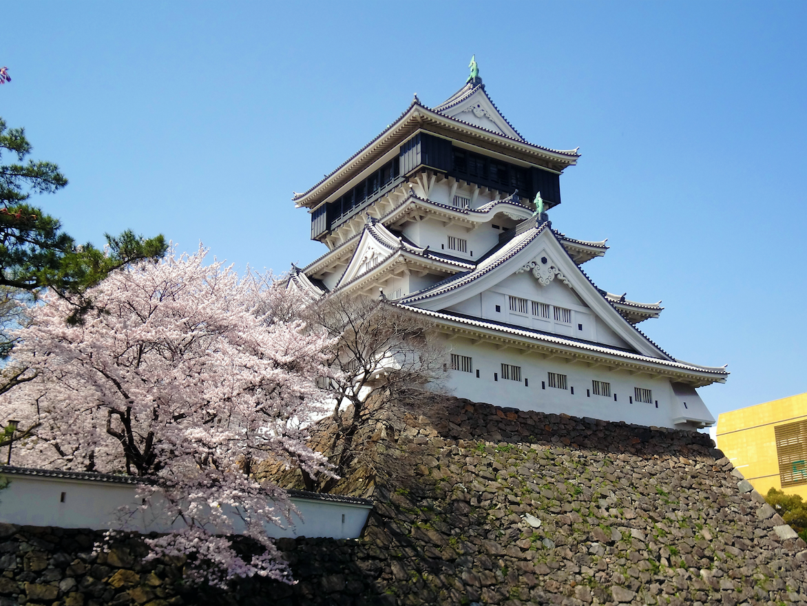 Kitakyushu castle cherry blossoms