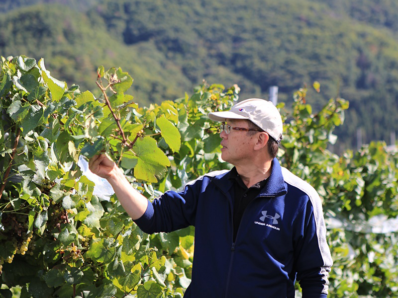 Winemaker Shigeyuki Kusunoki of Kusunoki Winery in Nagano Prefecture