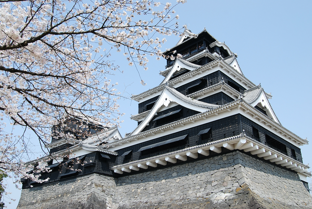 Kumamoto Castle cherry blossoms kyushu