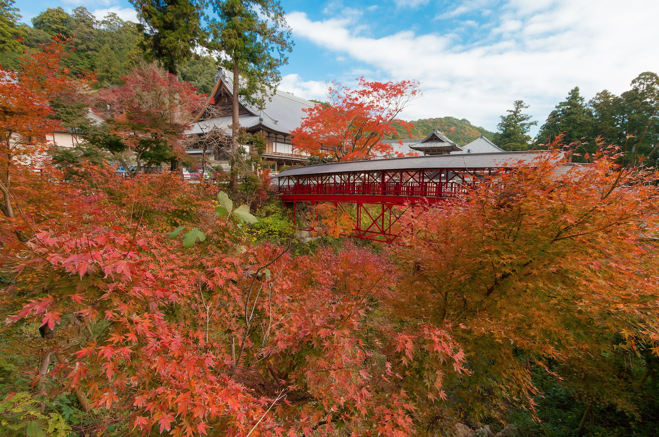 Okuyama Houkouji temple autumn leave