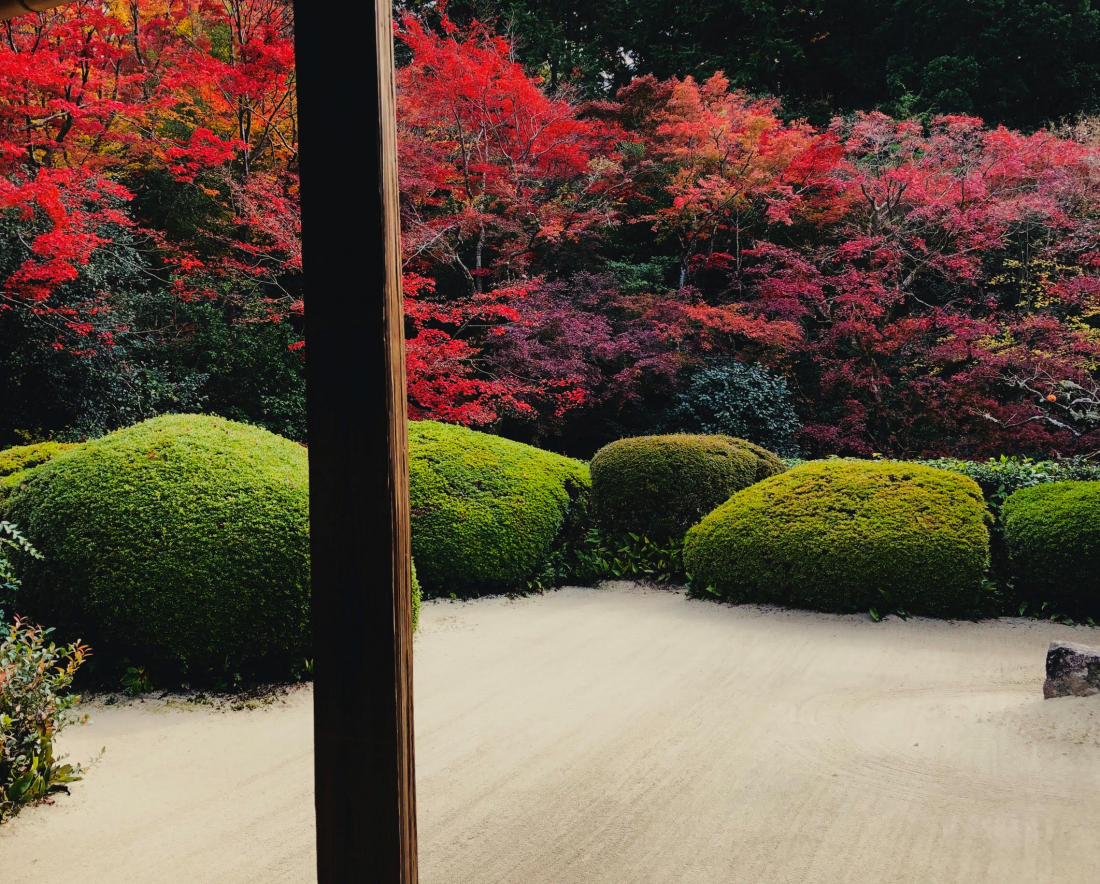 Autumn foliage at Shisendo temple