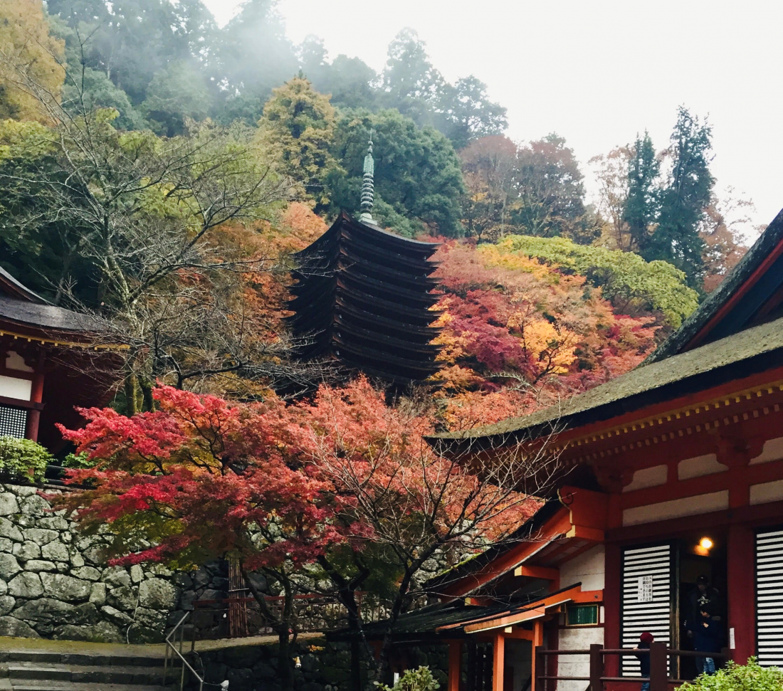 Tanzanjinja Shrine in Nara