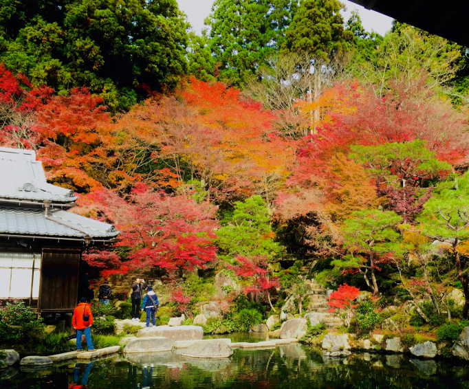 hyakusaiji garden in Shiga