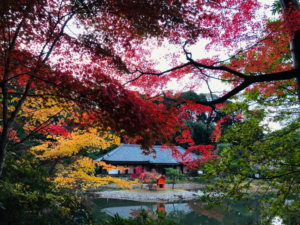 Joruri-ji in Kyoto
