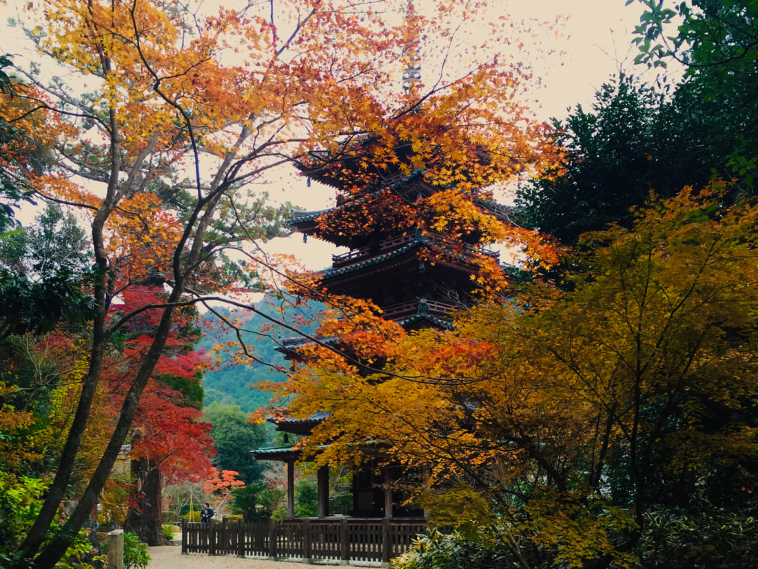 Kaijusen-ji temple in kyoto
