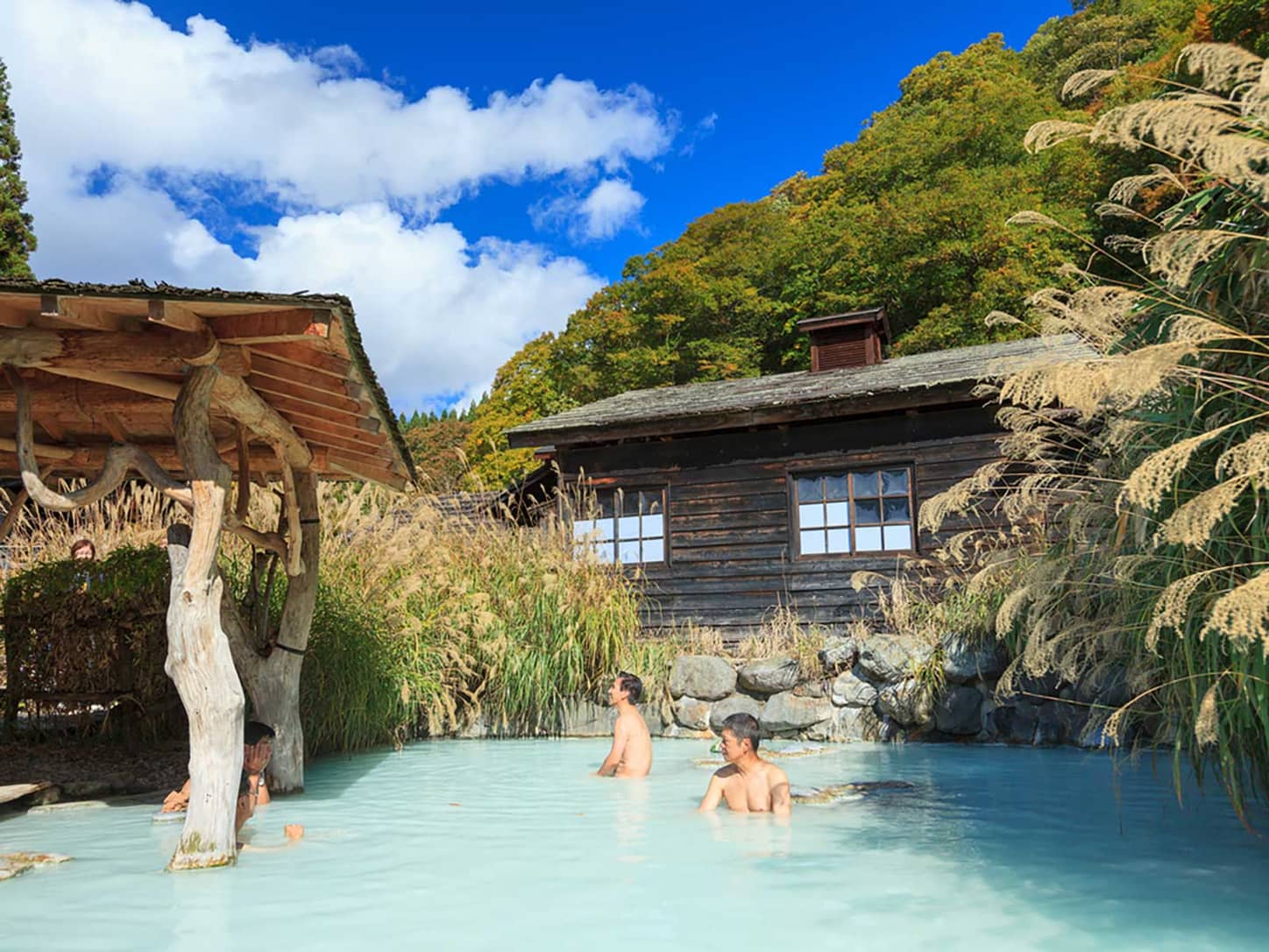 Japans Tradition of Mixed Bathing is image