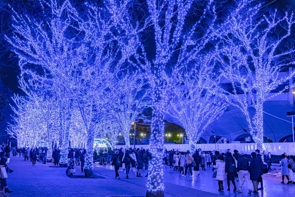Shibuya winter illuminations - tokyo date ideas
