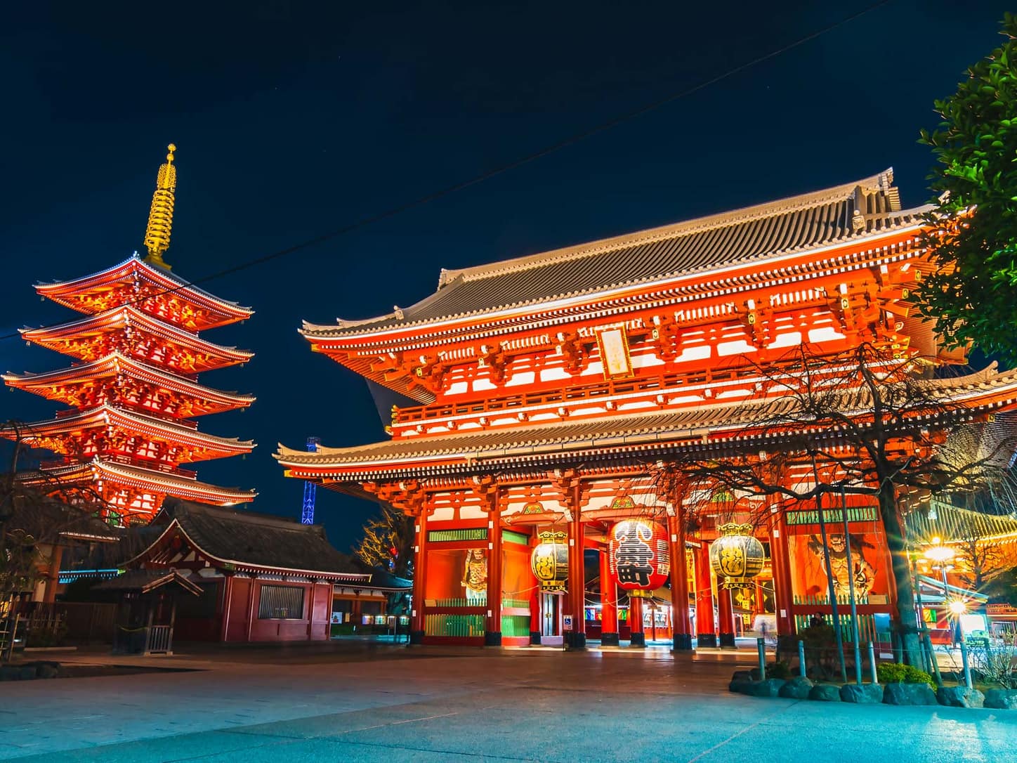 The Alternative Guide to Tokyo Nightlife From Night-Time Surfing to ...