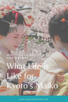What Life Is Like For Kyoto S Maiko And Why Geisha Hunting Is Now Banned Tokyo Weekender