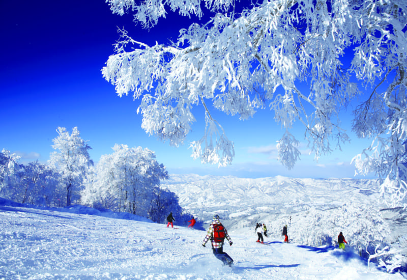 The Top 4 Ski Resorts in Nagano For the Ultimate Japan Winter Adventure