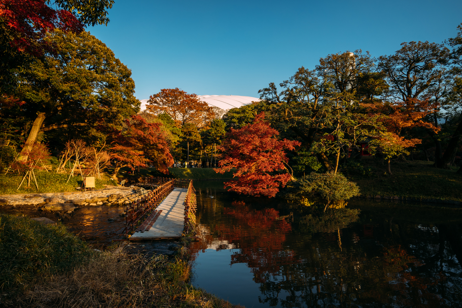 Tokyo Neighborhood Guide: Korakuen