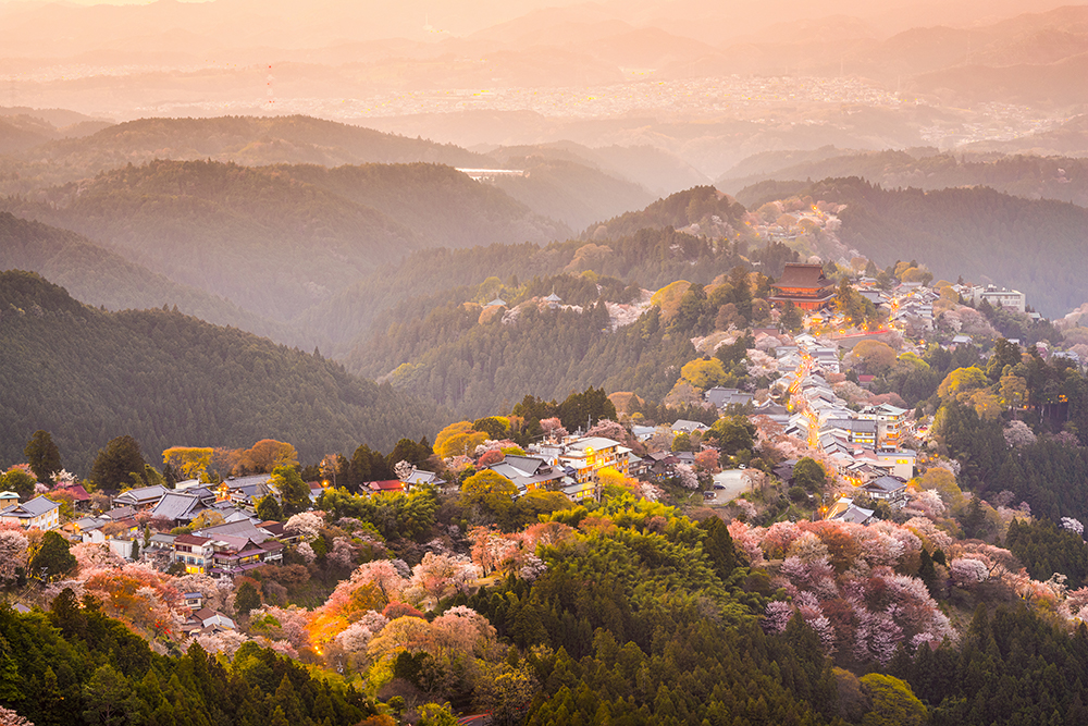 Travel Japan: Where to See Cherry Blossoms in Nara