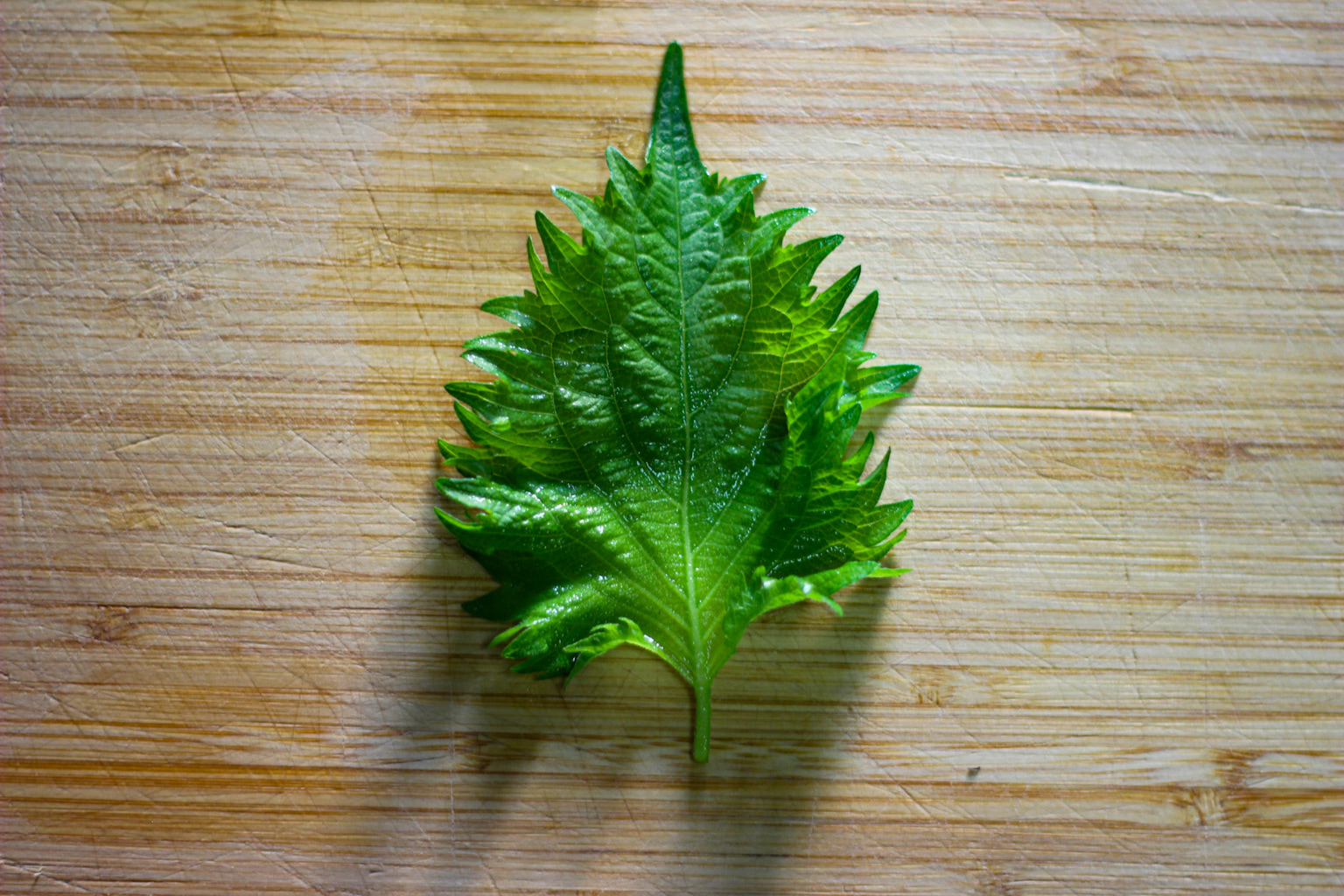 Seasonal Japanese Ingredients and How To Use Them: Shiso