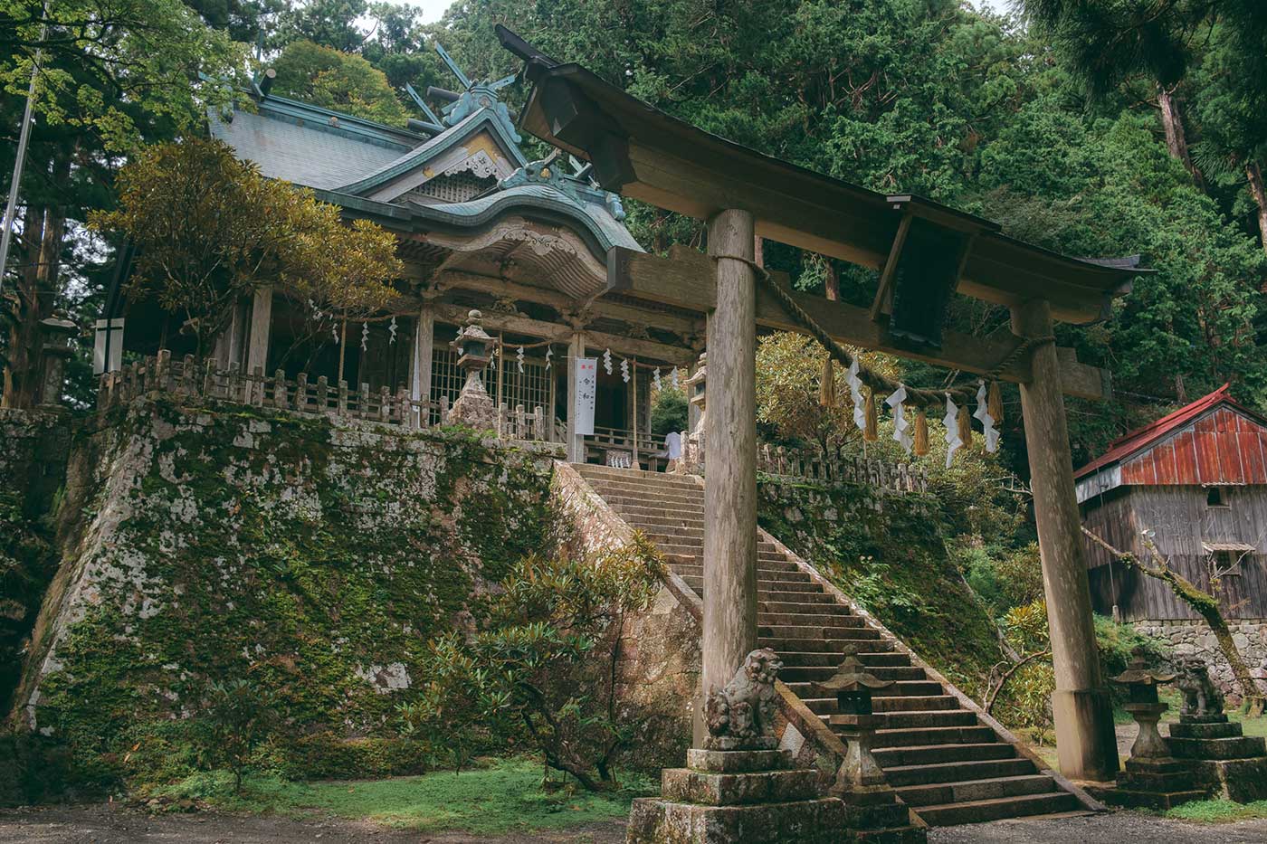 Tamaki Nara