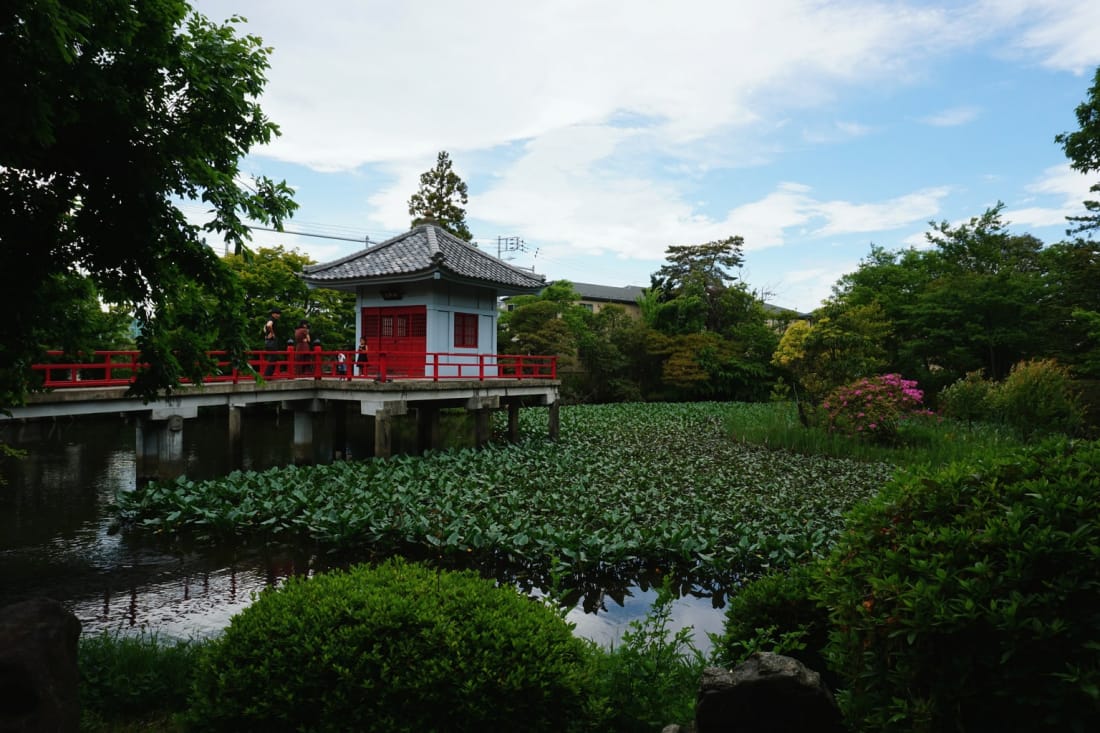Karasuyama Duck Pond