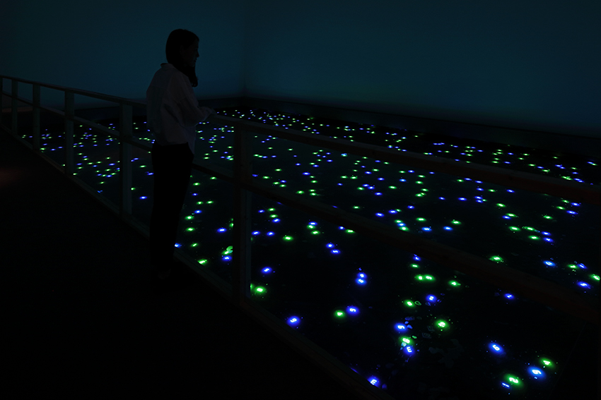 Tatsuo Miyajima Mori Art Museum STARS Exhibition