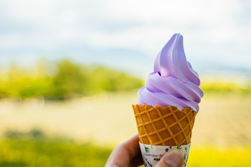Furano Hokkaido lavender ice cream