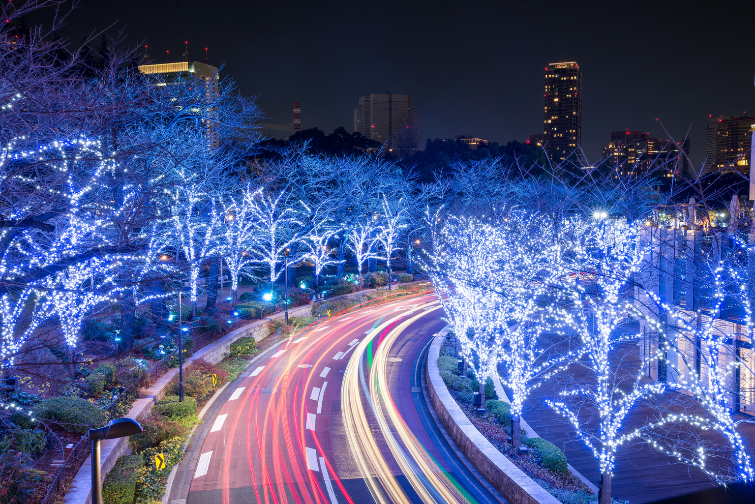 The Best 15 Winter Illuminations and Christmas Lights in and Around Tokyo