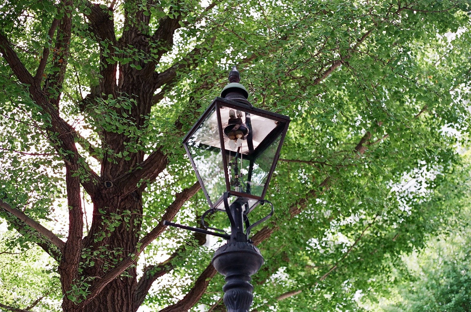 Where to Find Tokyo’s Streetlights of Yesteryear