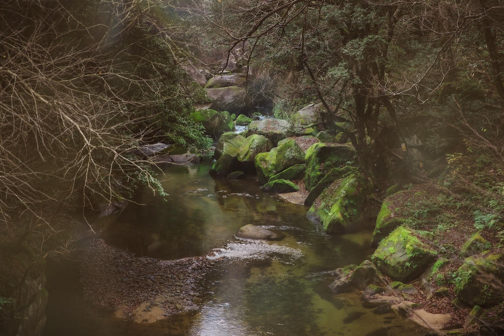 Oku Izumo_Oni no shitaburui_moss rocks Shimane