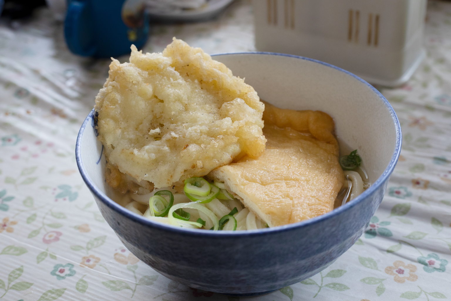 kagawa udon noodles