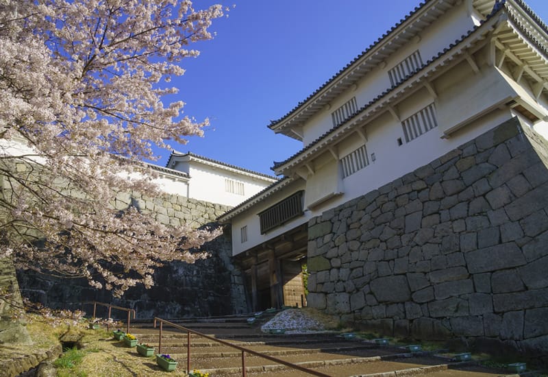 Japan Travel: Castle Ruins, Sake and More in Nihonmatsu, Fukushima Prefecture