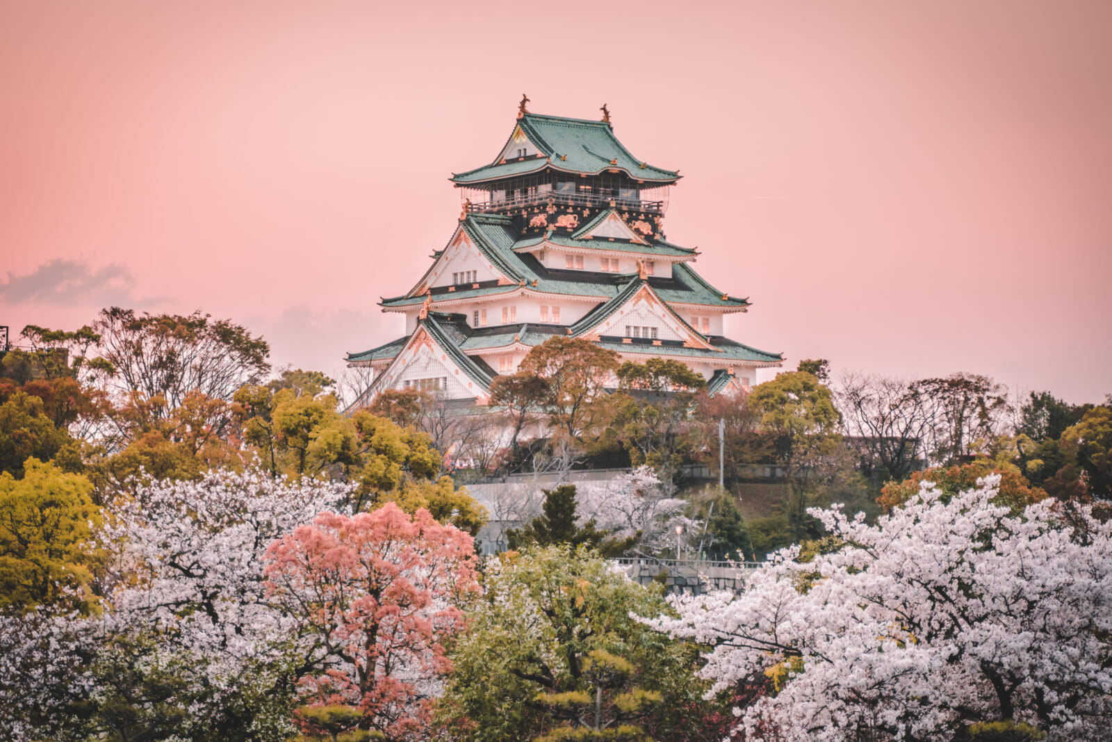 osaka castle cherry blossoms