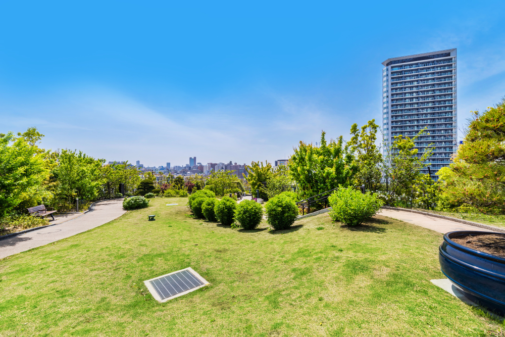 Where The Grass is Greener: Urban Green Spaces in Tokyo