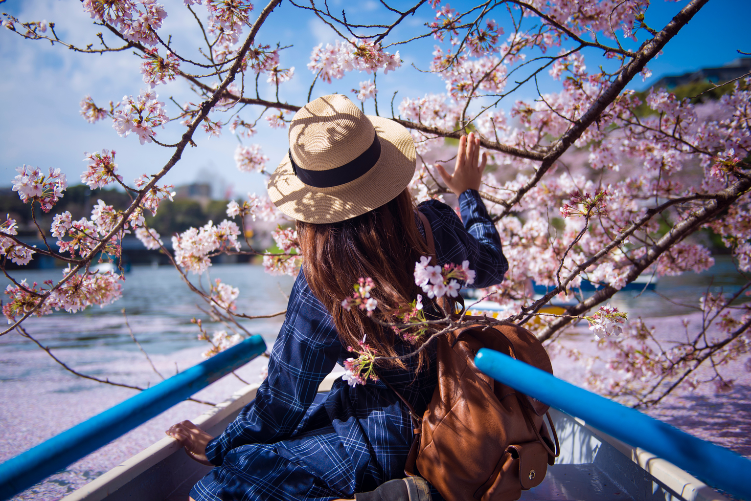 17 of The Most Beautiful Places to See Cherry Blossoms in Tokyo