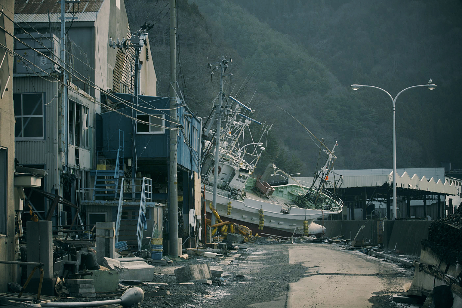 Damage from the Tohoku earthquake and tsunami