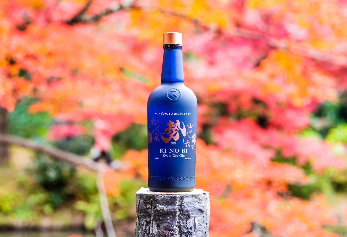 The Ultimate Guide to Japanese Gin Tokyo Weekender