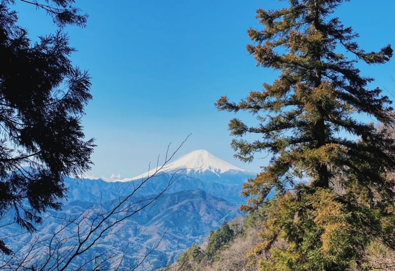 Day Trips From Tokyo: Hiking Mount Ogiyama and Momokurasan in Yamanashi Prefecture