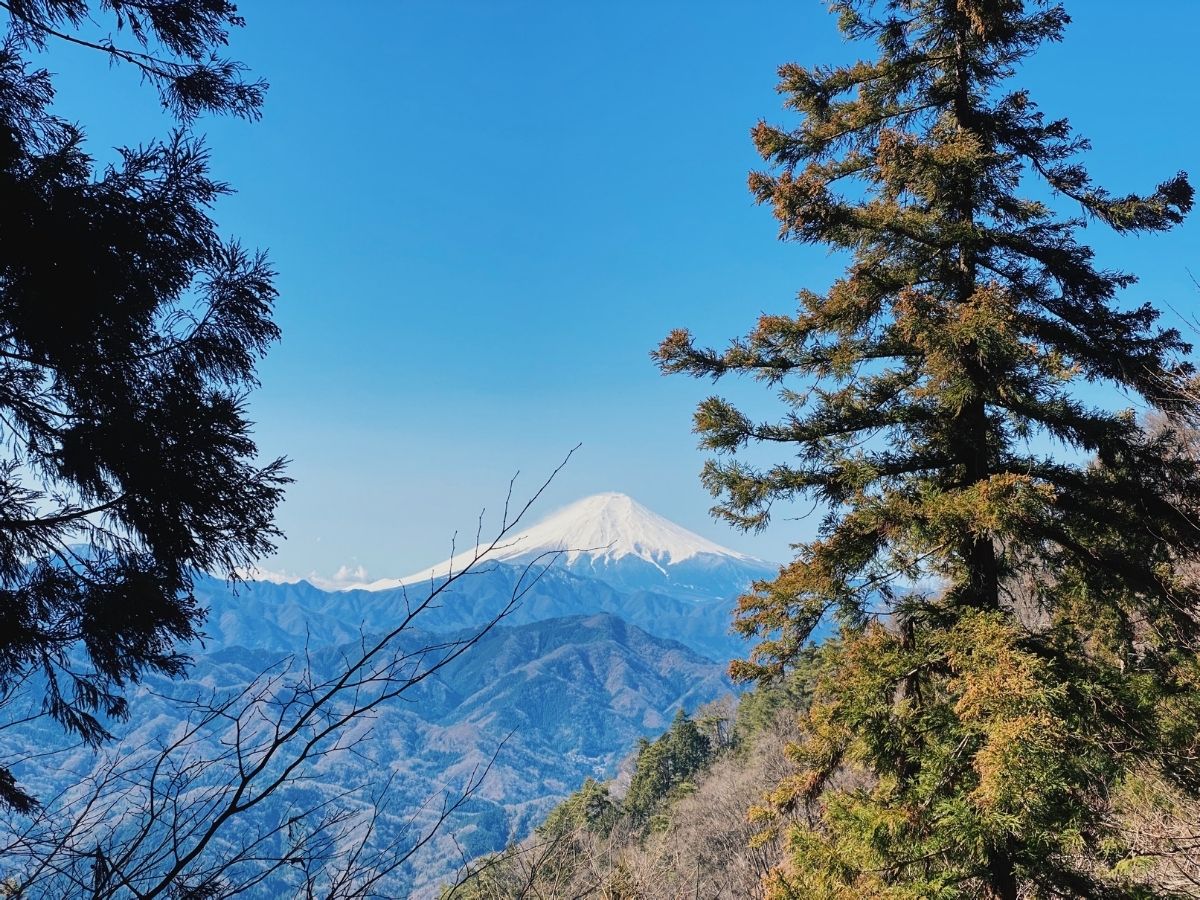 Day Trips From Tokyo: Hiking Mount Ogiyama and Momokurasan in Yamanashi Prefecture