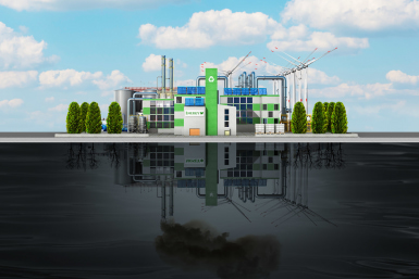 greenwashing in Japan