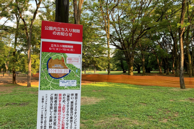 olympic live site project