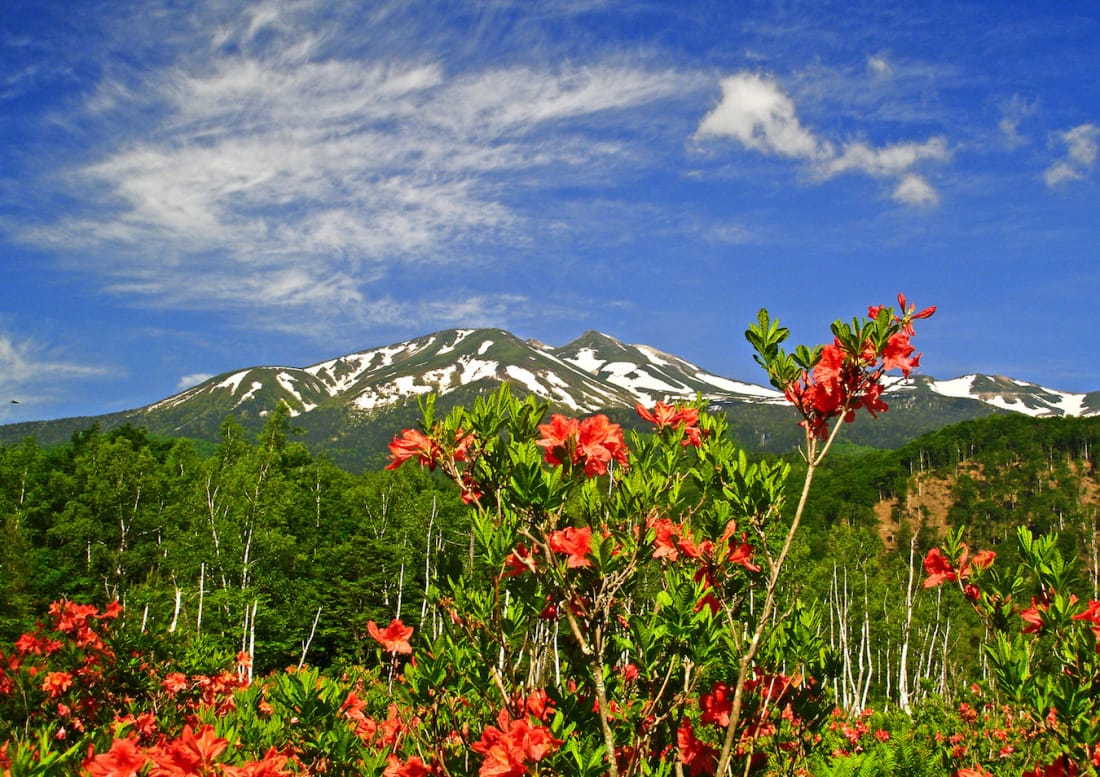 Norikura Highlands Japan Northern Alps