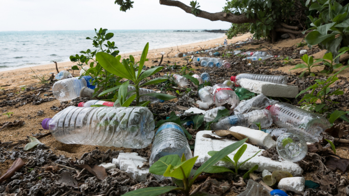 Marine litter and plastic pollution in Ishigaki, Okinawa