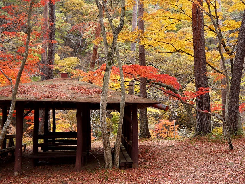 Discover Fall Foliage in Picturesque Shosenkyo Gorge in Yamanashi