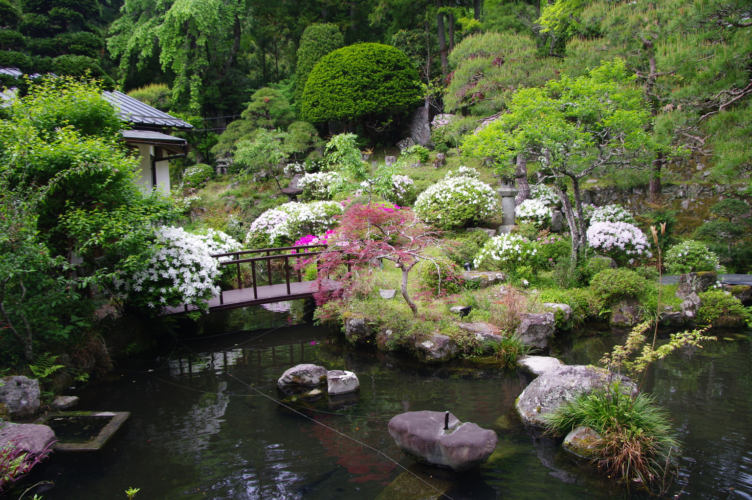 kakurinbo zen garden