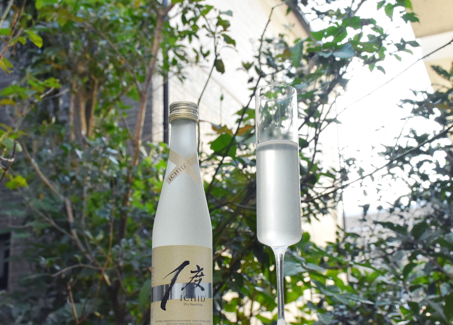 Celebrate the Special Moments With Sparkling Sake From Ichido
