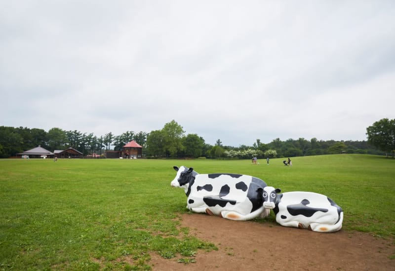 9 Things to Know About Iwate’s Koiwai Farm