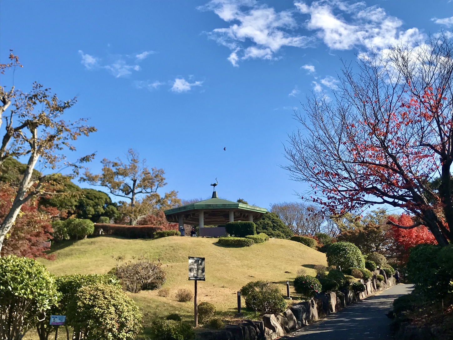 Oiso Joyama Park observation deck © Alma Reyes