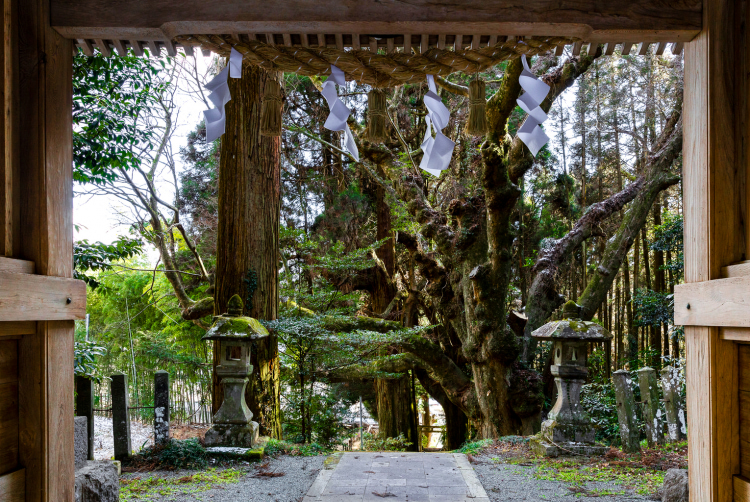 Explore the Food, History & Nature of Taketa | Tokyo Weekender