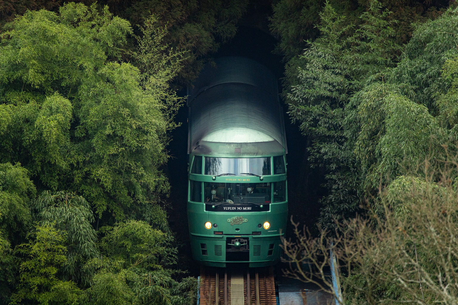 Suspended Ceiling Train Track Shelly Lighting