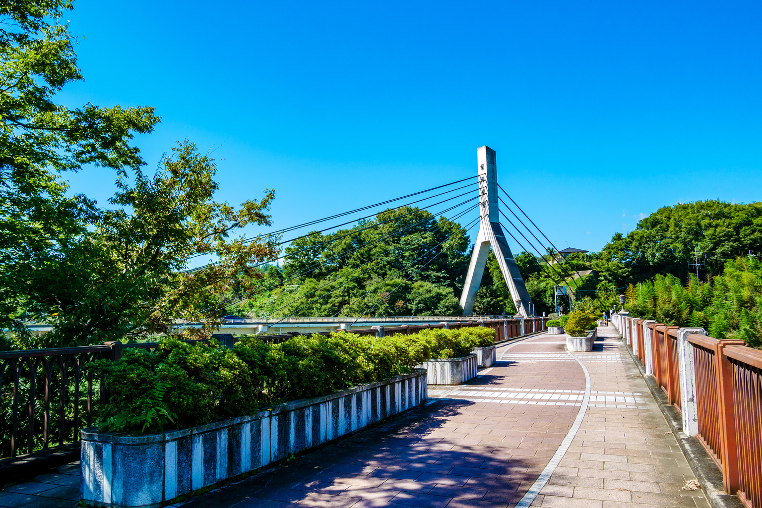 Old Chichibu Bridge