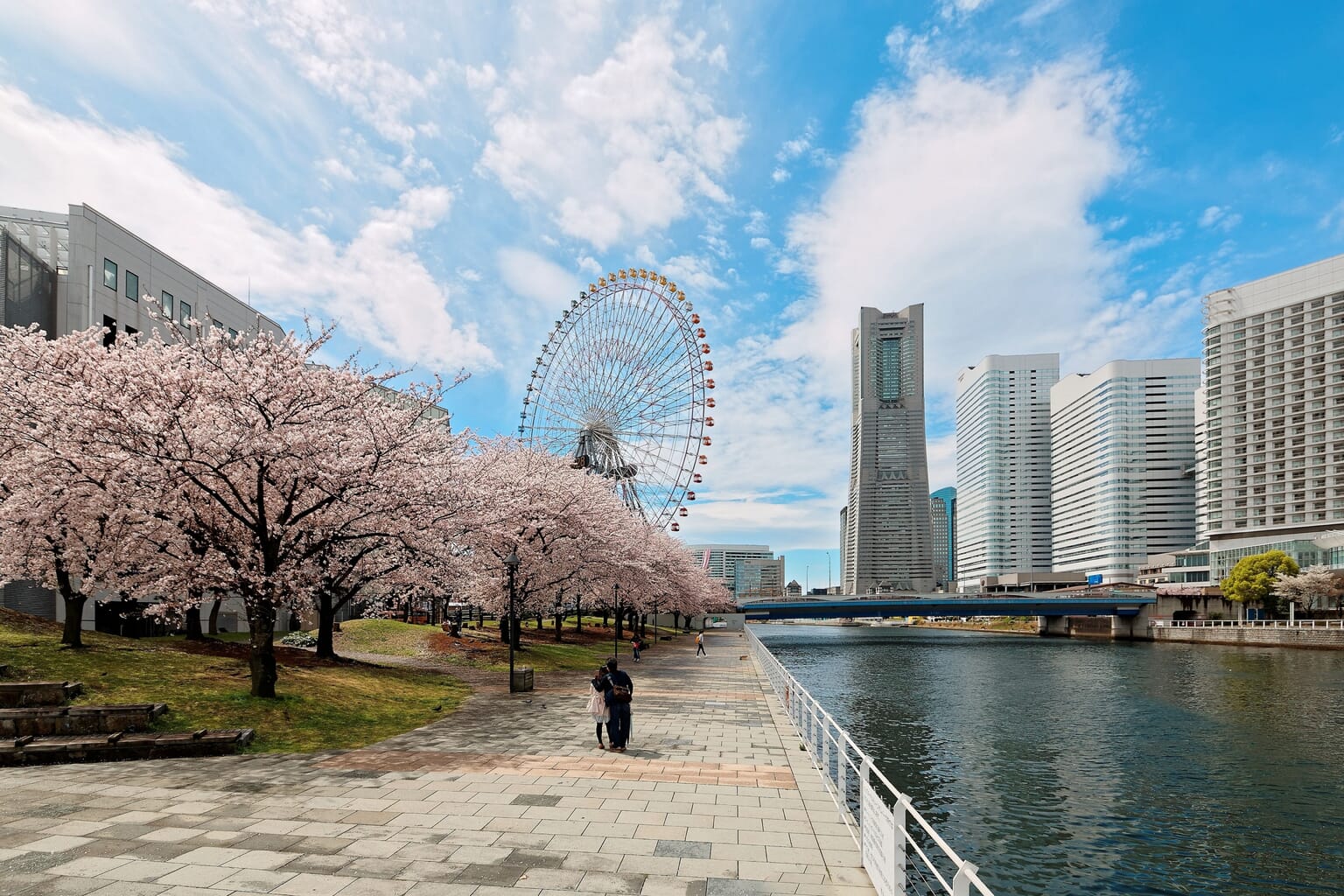 9 Best Places to See Cherry Blossoms in Yokohama