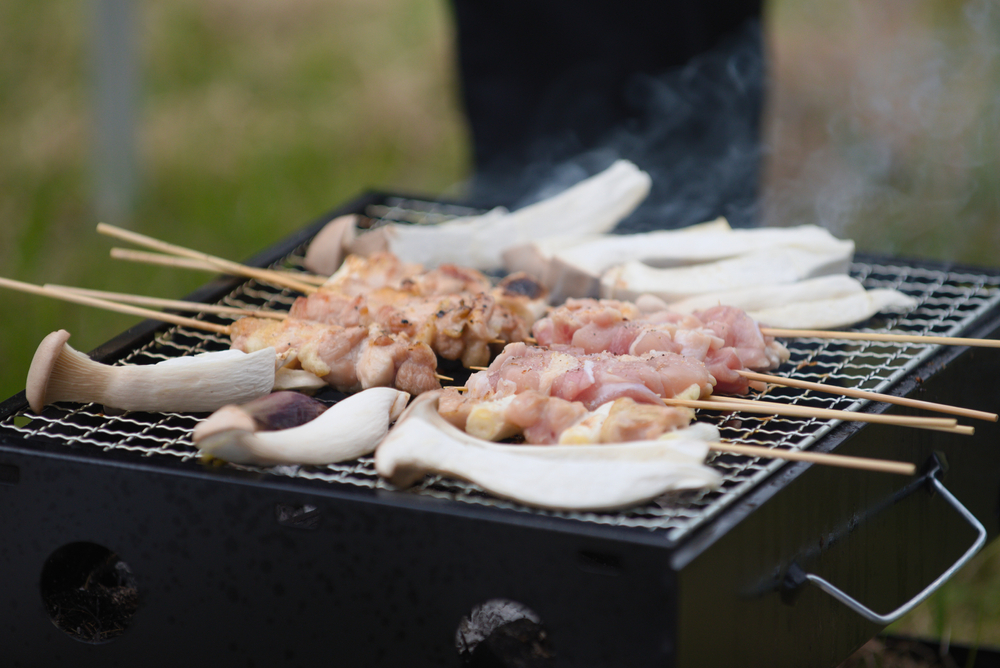 day trips from tokyo in spring - bbq