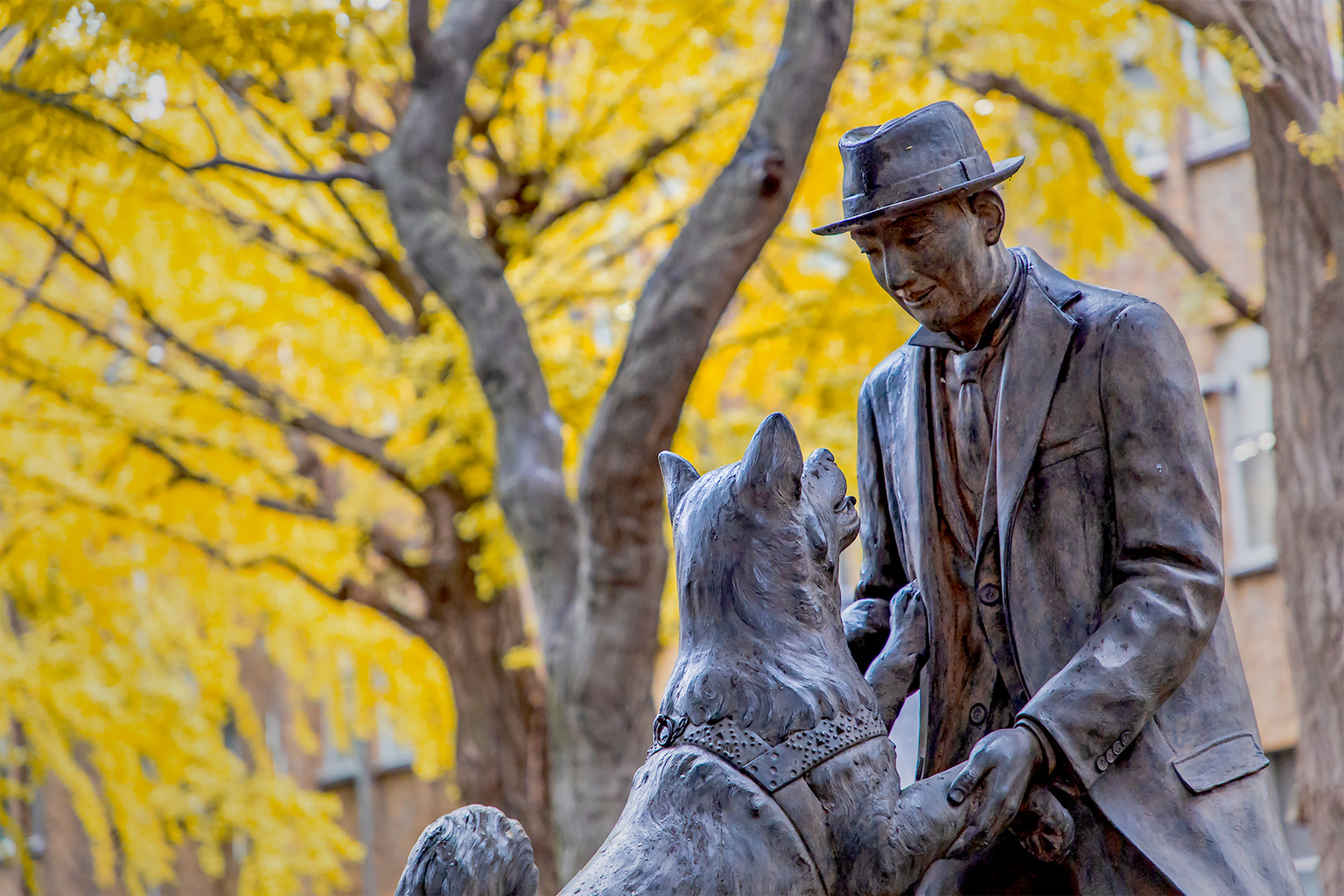 Spotlight Hidesaburo Ueno Hachiko's Master Tokyo Weekender