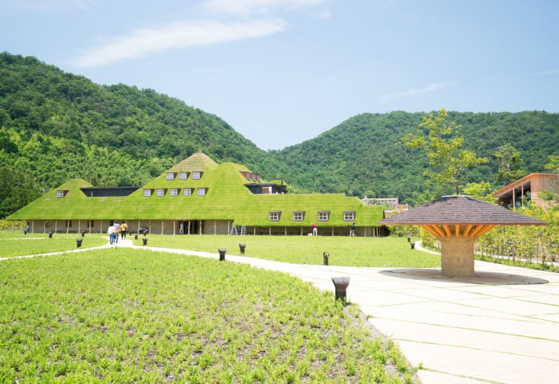 5 Reasons to Visit Lake Biwa and Shiga Prefecture