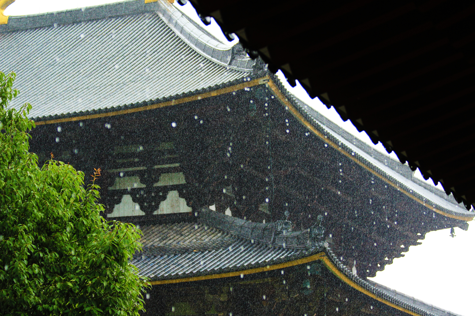japanese summer haiku rain on todaiji nara